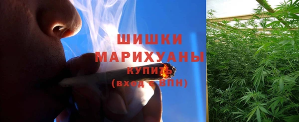 амф Кулебаки
