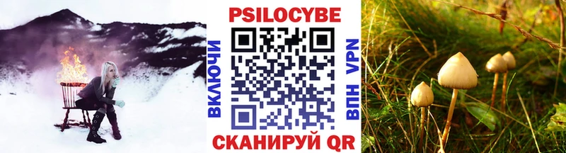 сайты даркнета формула  Струнино  Псилоцибиновые грибы MAGIC MUSHROOMS  купить  